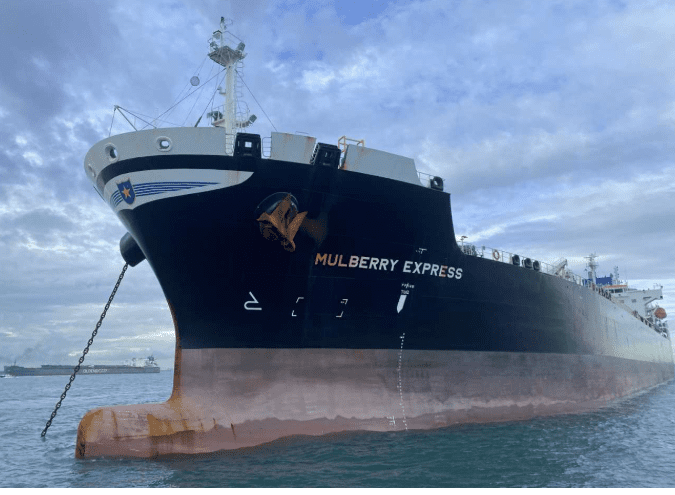 Mulberry Express
